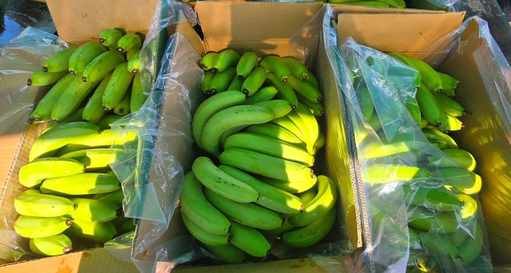 Banana